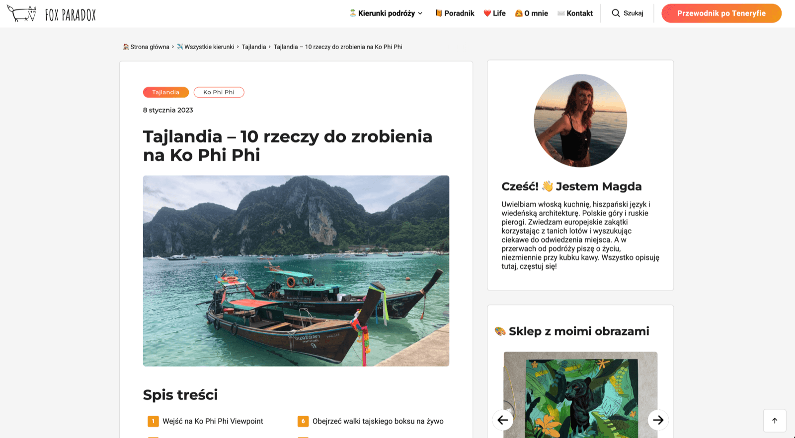 Blog Fox Paradox po makeoverze